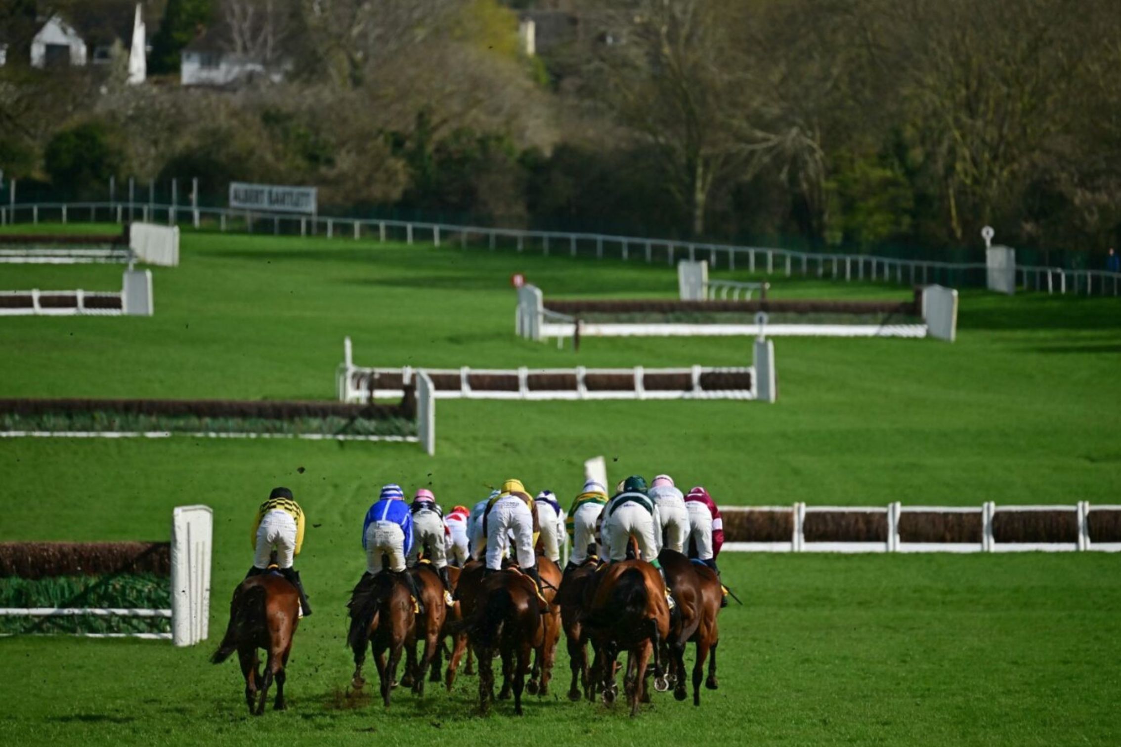 Racing horses