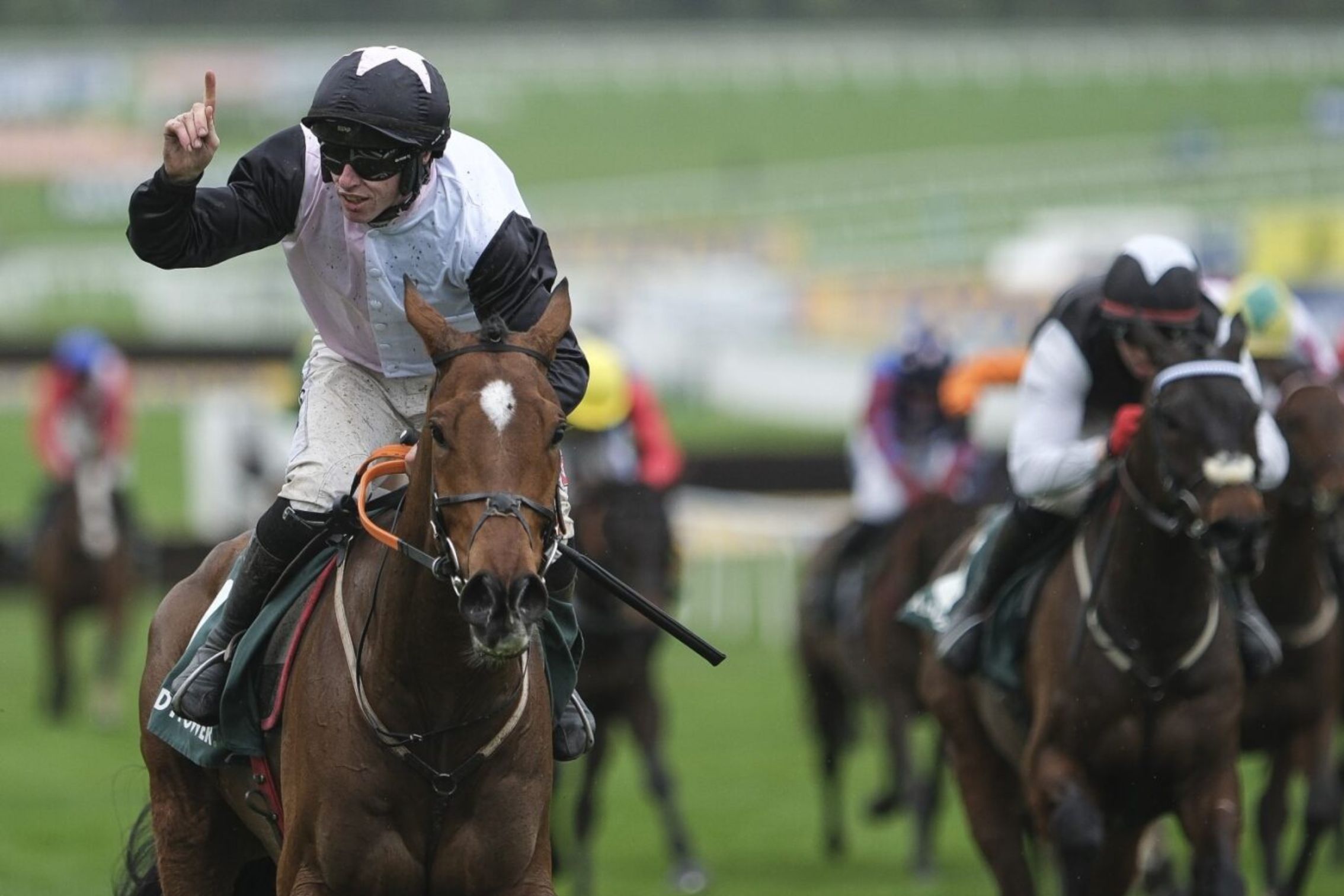 Winning horse