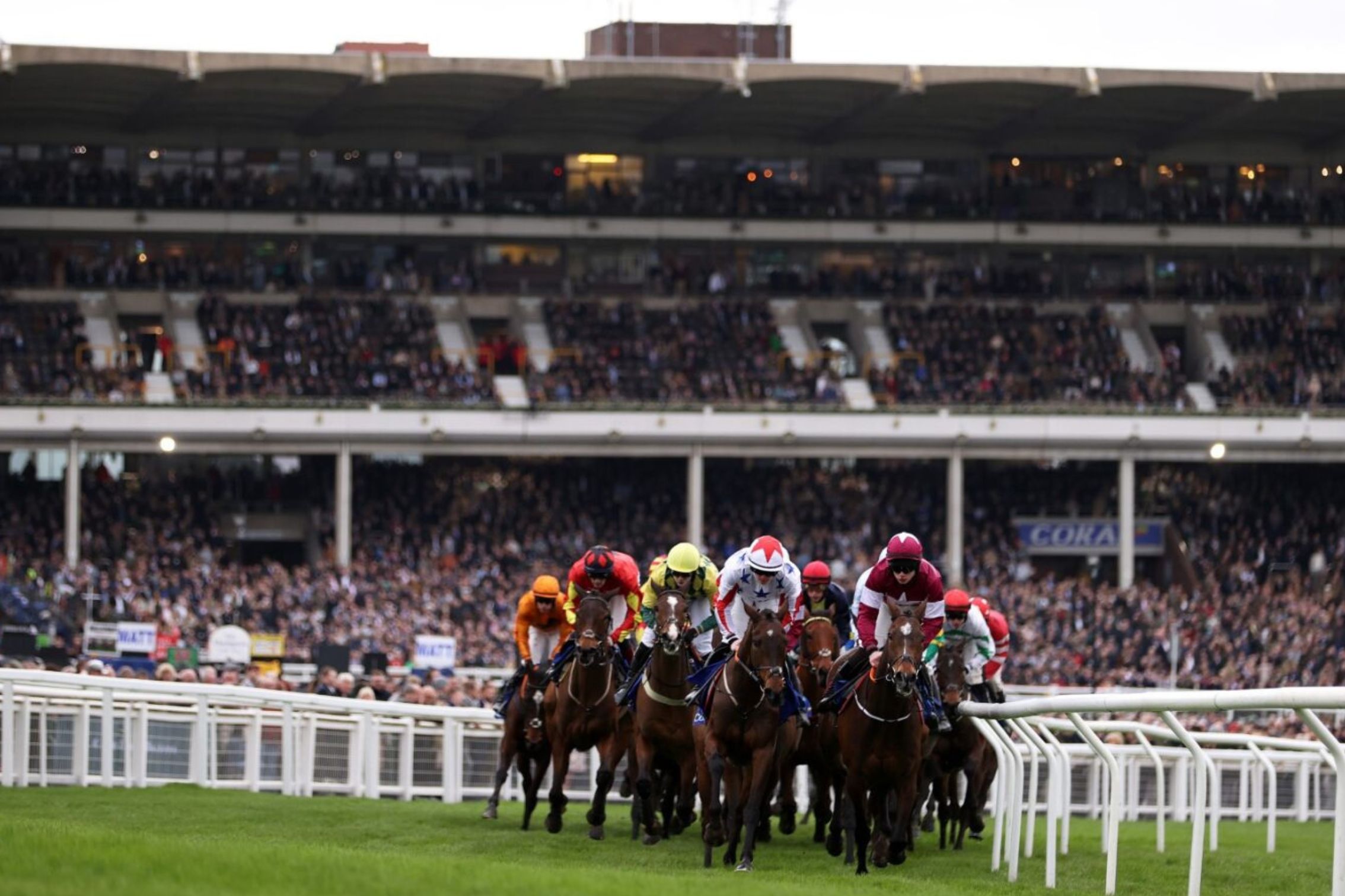 flat horse racing