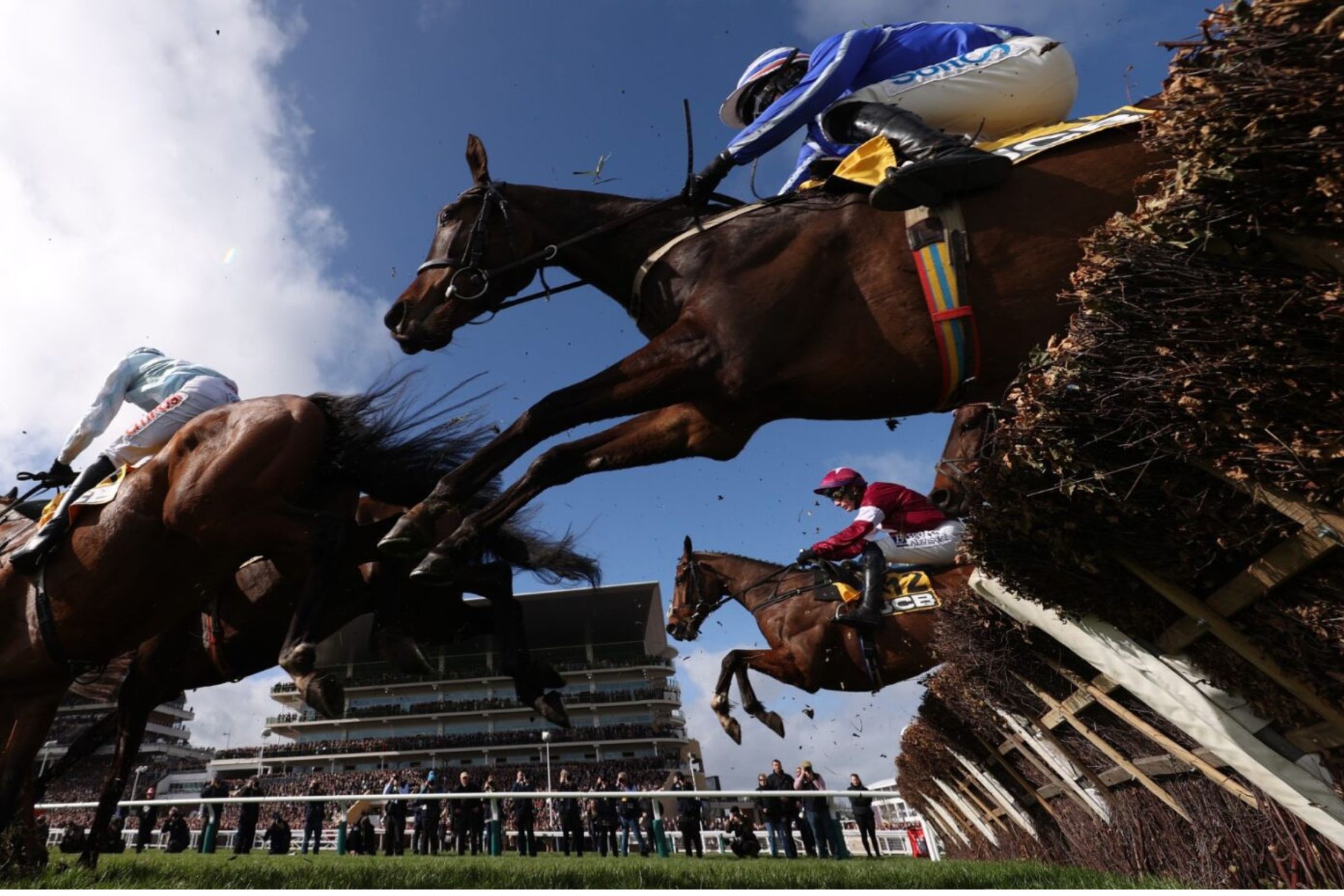 jump horse racing