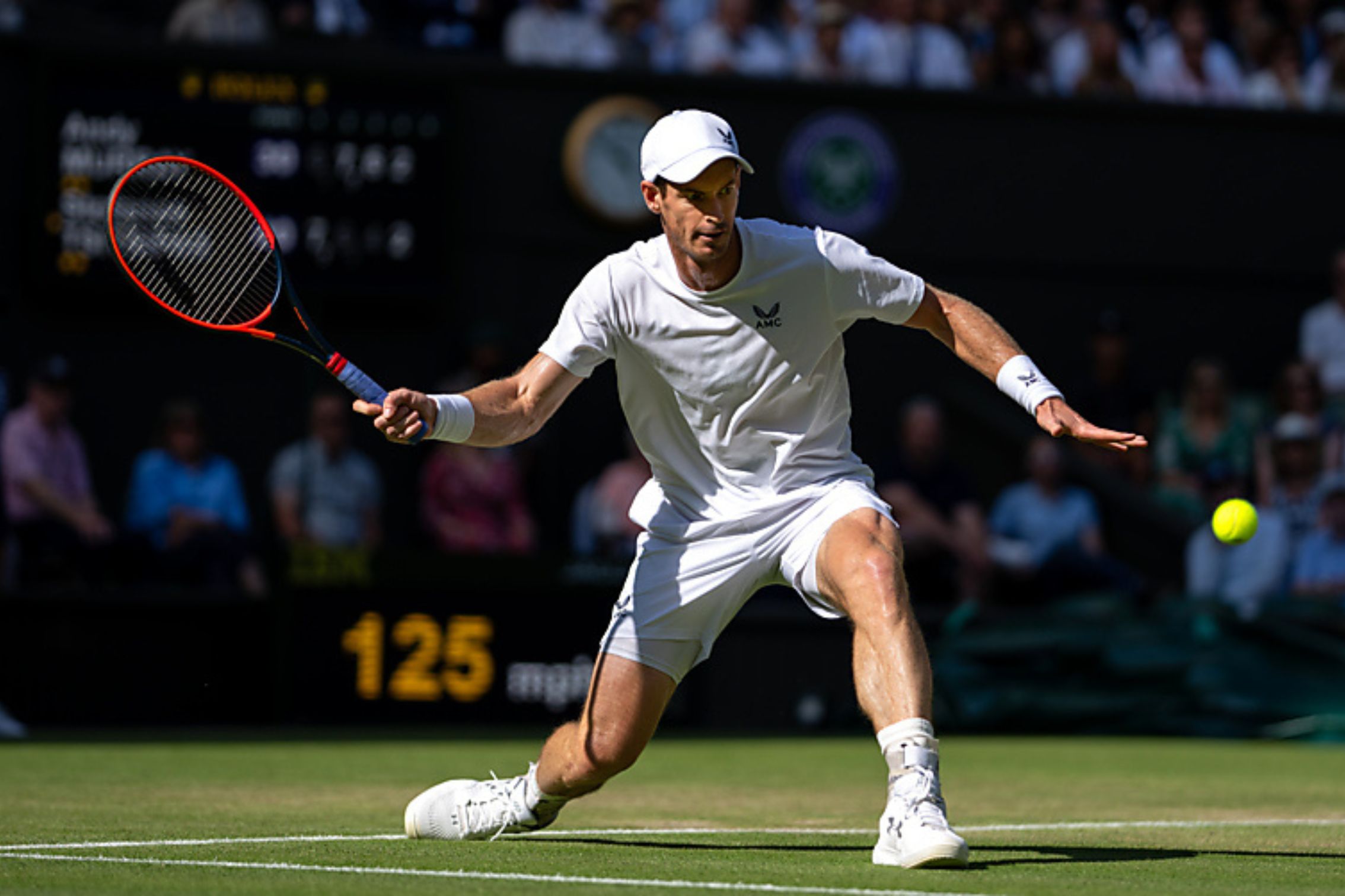 Andy murray at wimbledon tennis