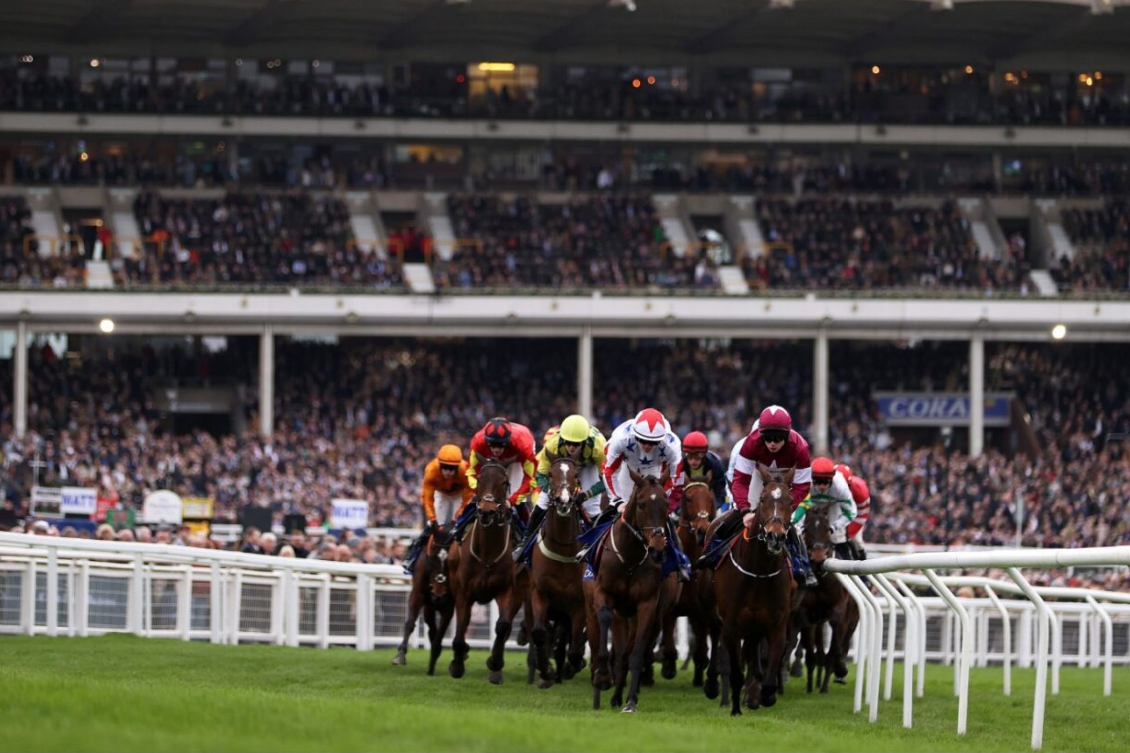 flat horse racing