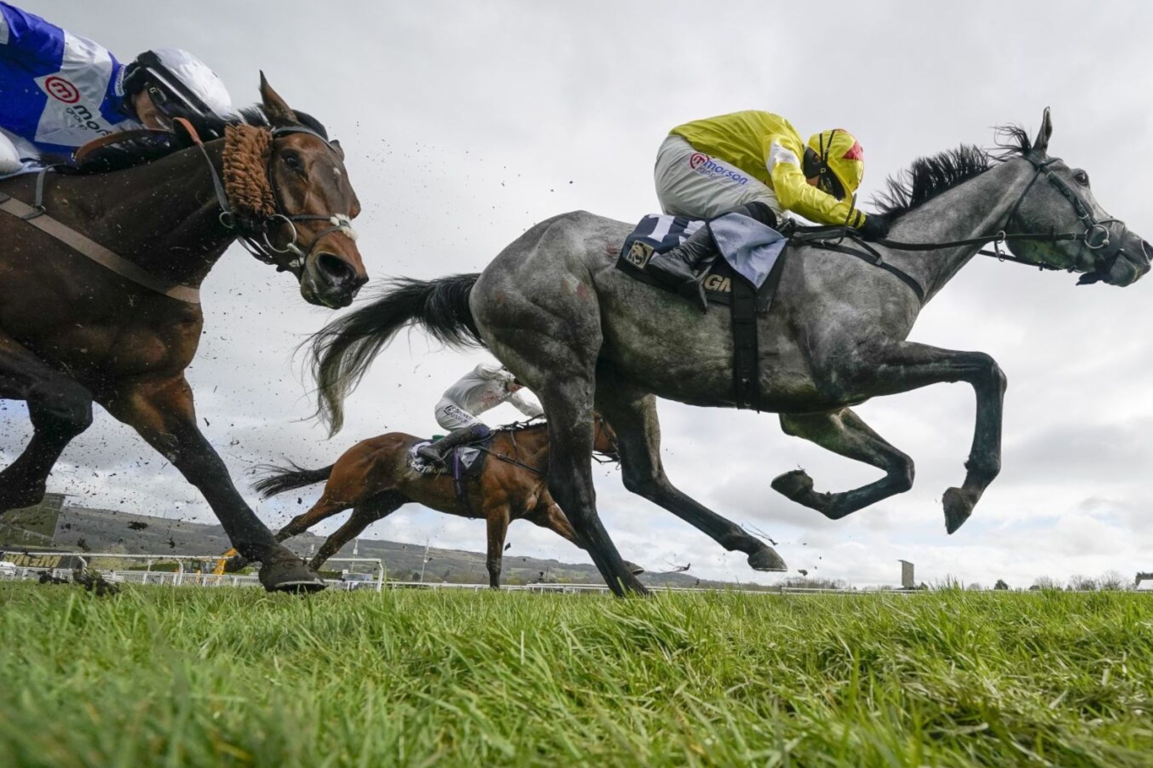 Jumping horses in horse race