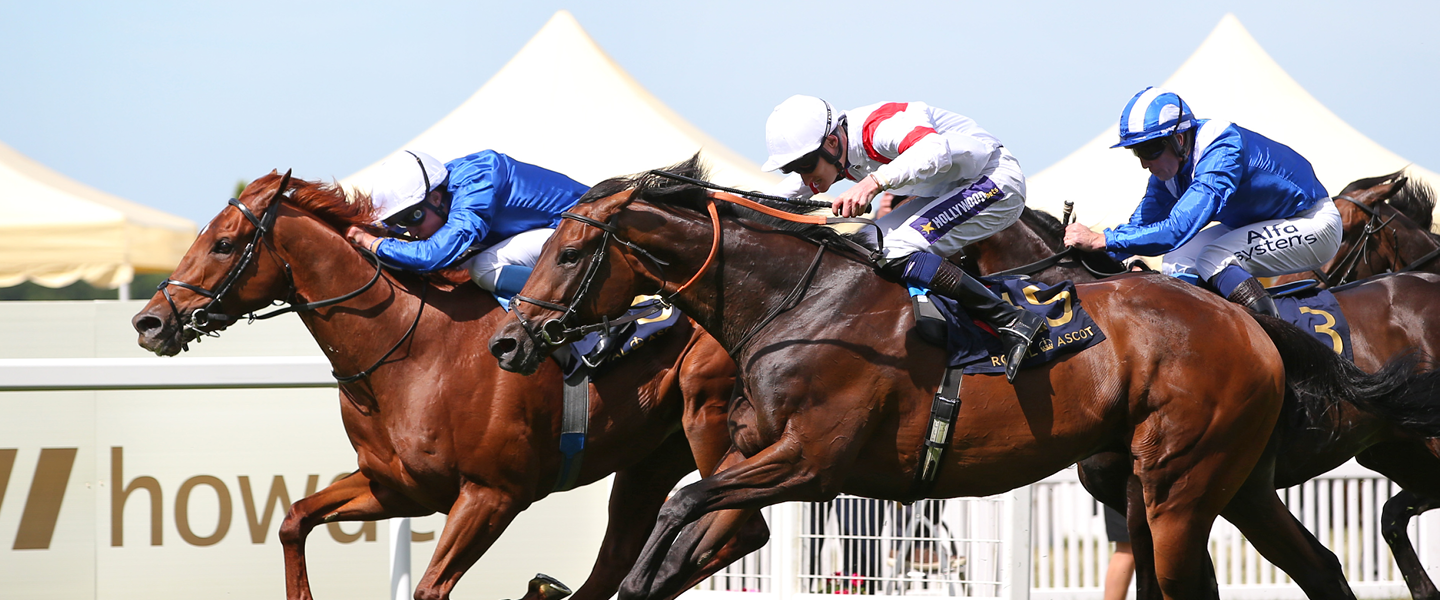 QIPCO King George Raceday horses racing at Ascot
