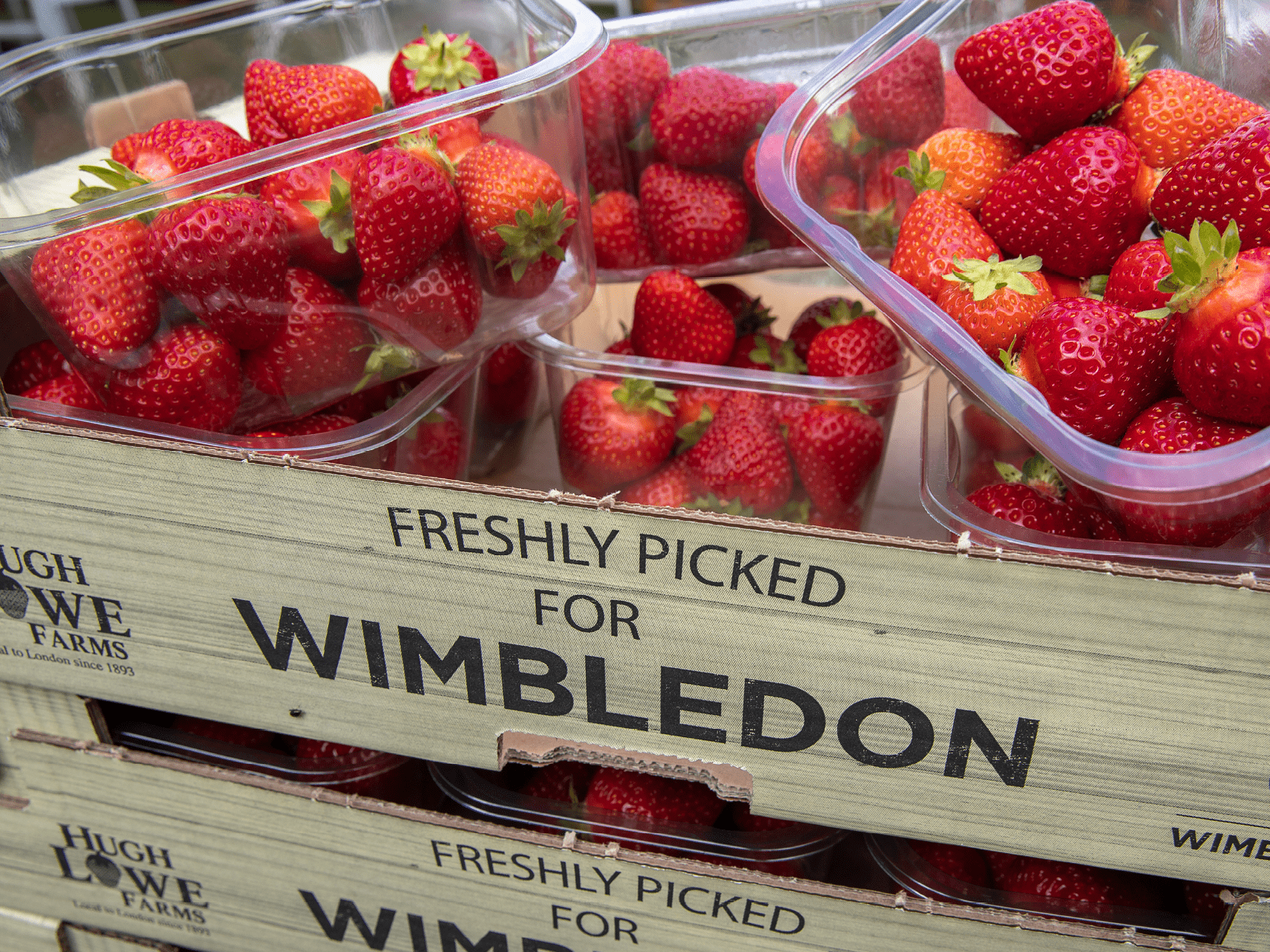 A wooden punnet of strawberries delivered by official strawberry supplier Hugh Lowe Farms to Wimbledon tennis for the tournament