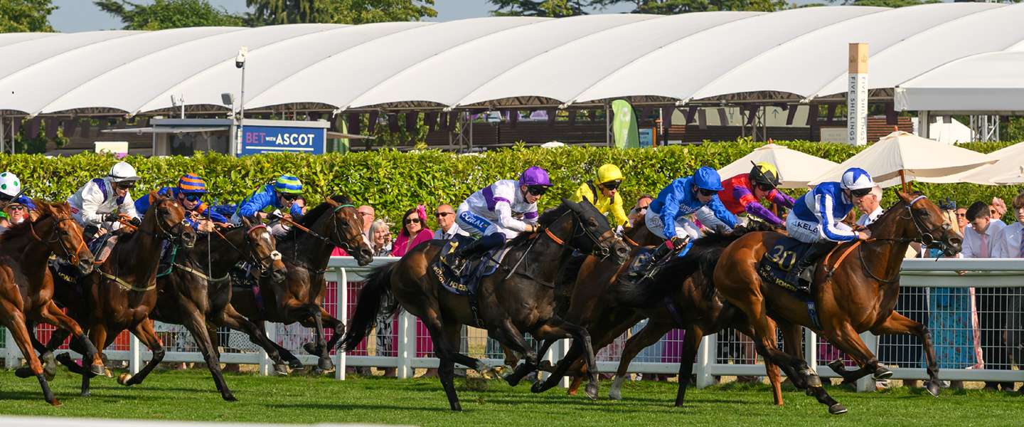 Horses racing on the course at an Ascot raceday