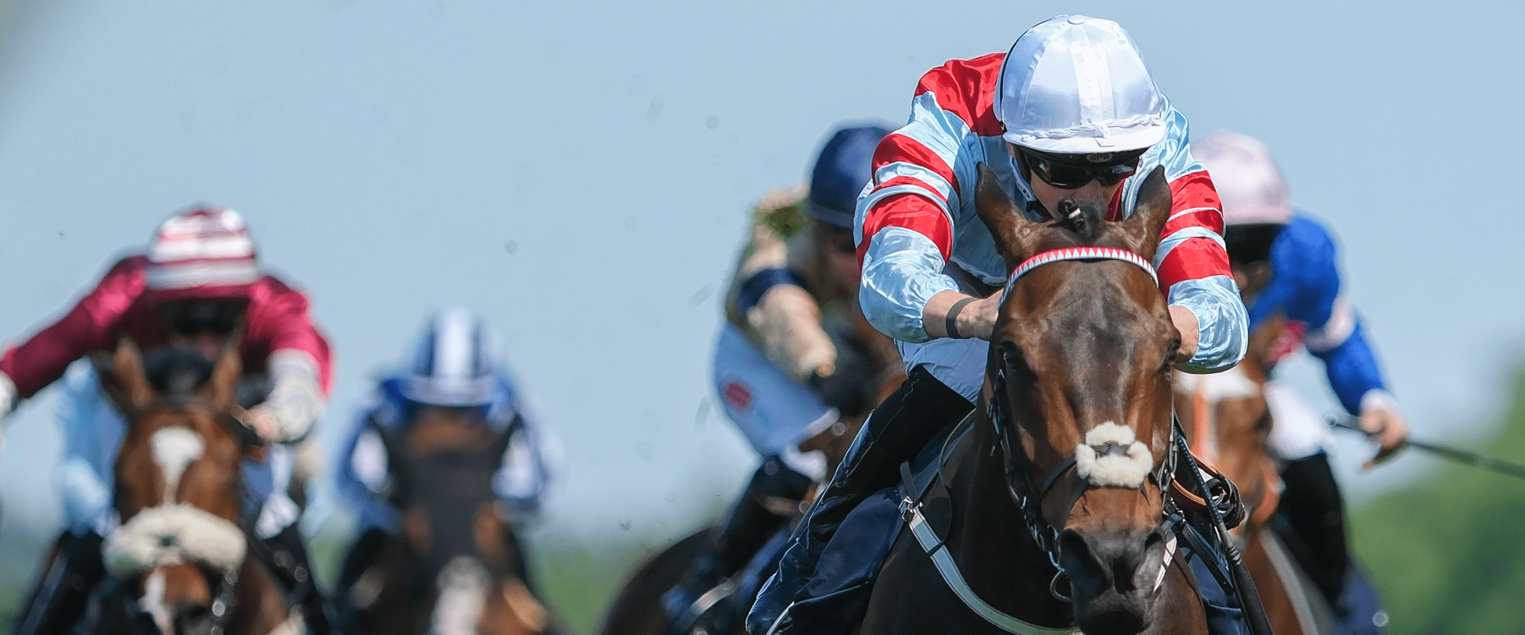 Jockeys racing on horses at Royal Ascot during a race