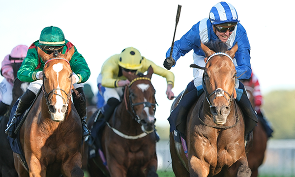 Ascot Racehorse Event