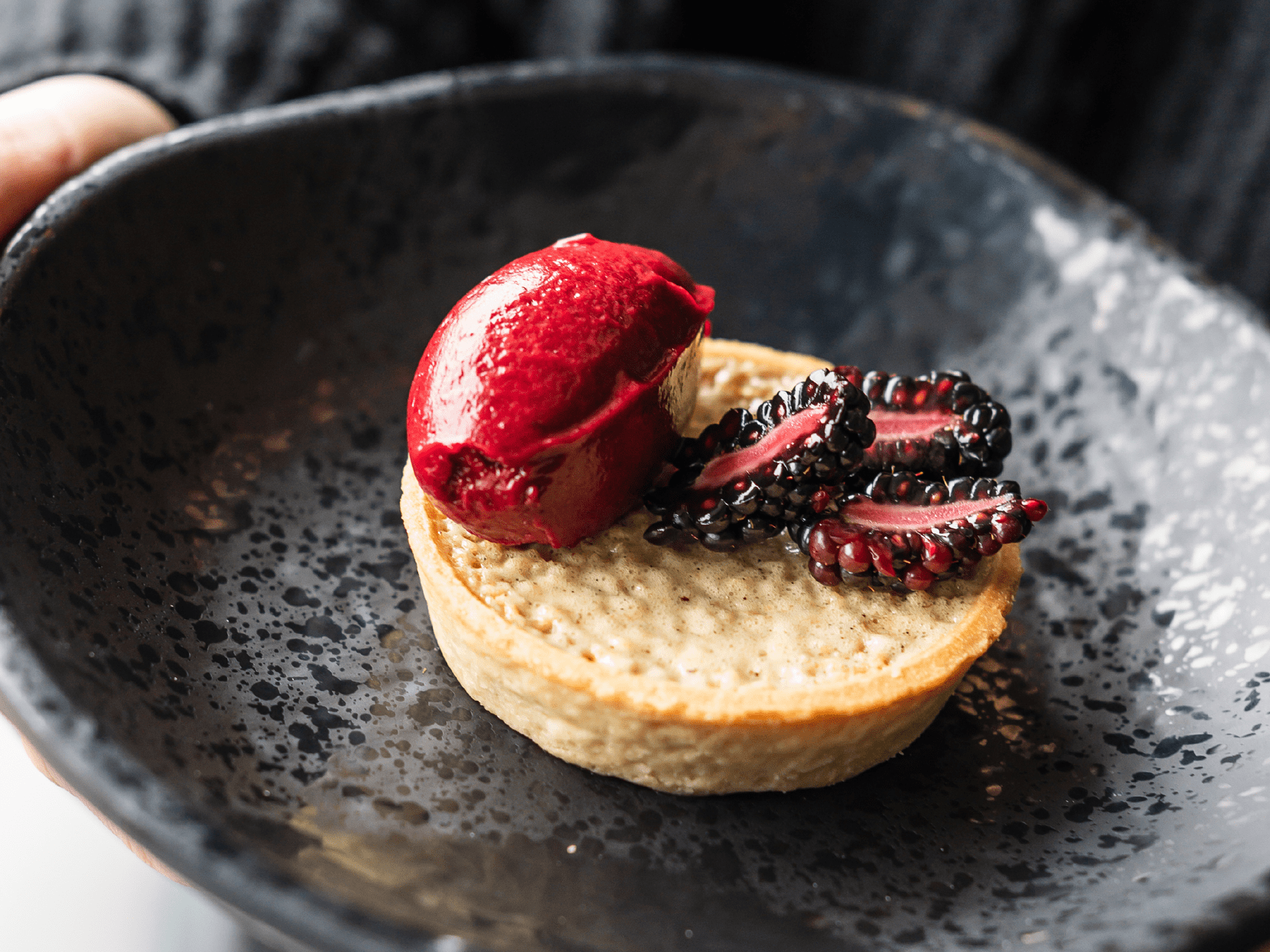 A dessert served at Tom Shepherd's menu tasting for Edgbaston's 2025 major match days in the Warwickshire Suite hospitality 