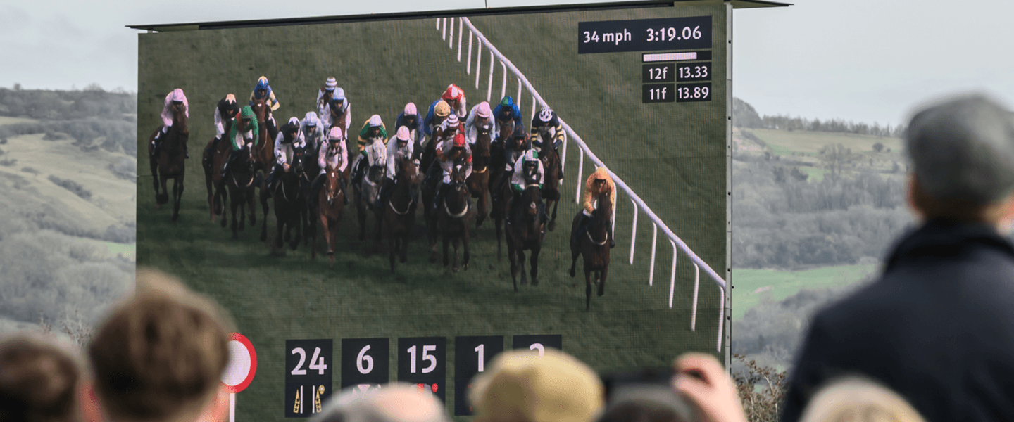 Cheltenham Festival big screen