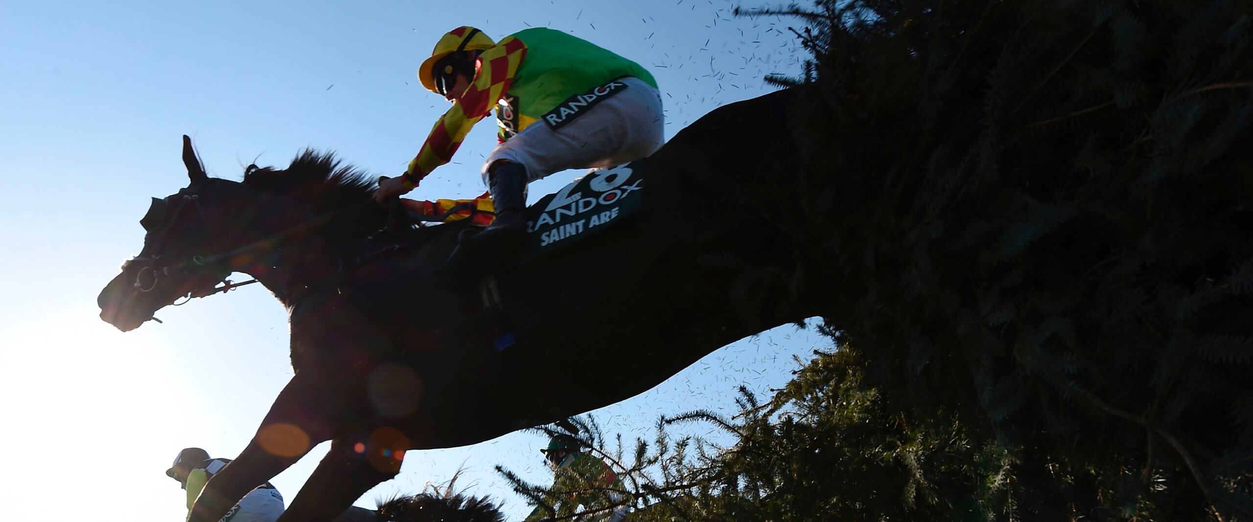 Horse and jockey jumping over the hurdle in a race at Cheltenham Festival