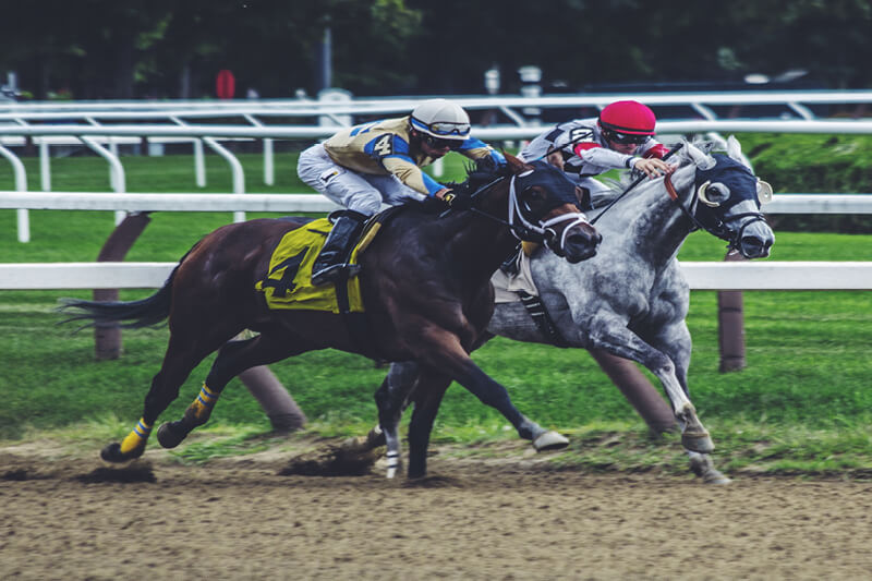 National Racehorse Week 2021