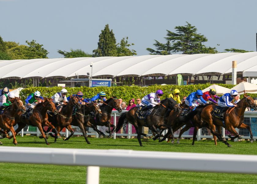Ascot Racing