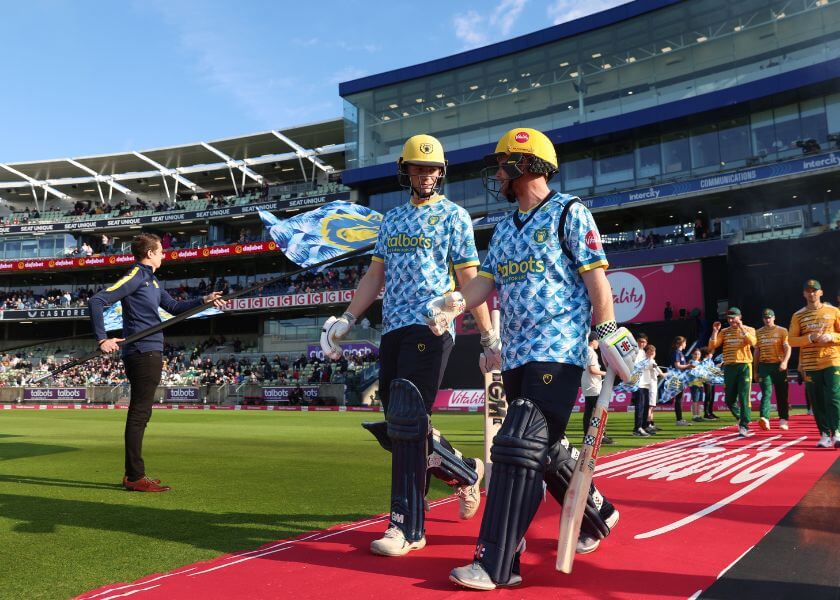 Bears entering the pitch at Edgbaston