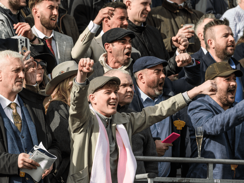 Crowds roaring at Cheltenham