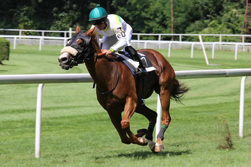National Racehorse Week 2021