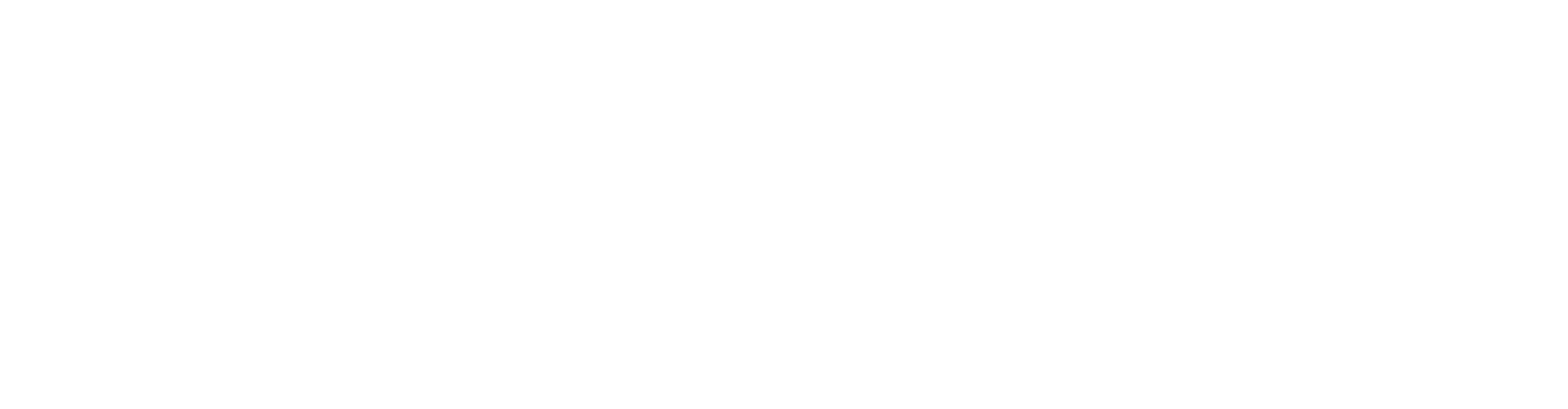 Dual Logo