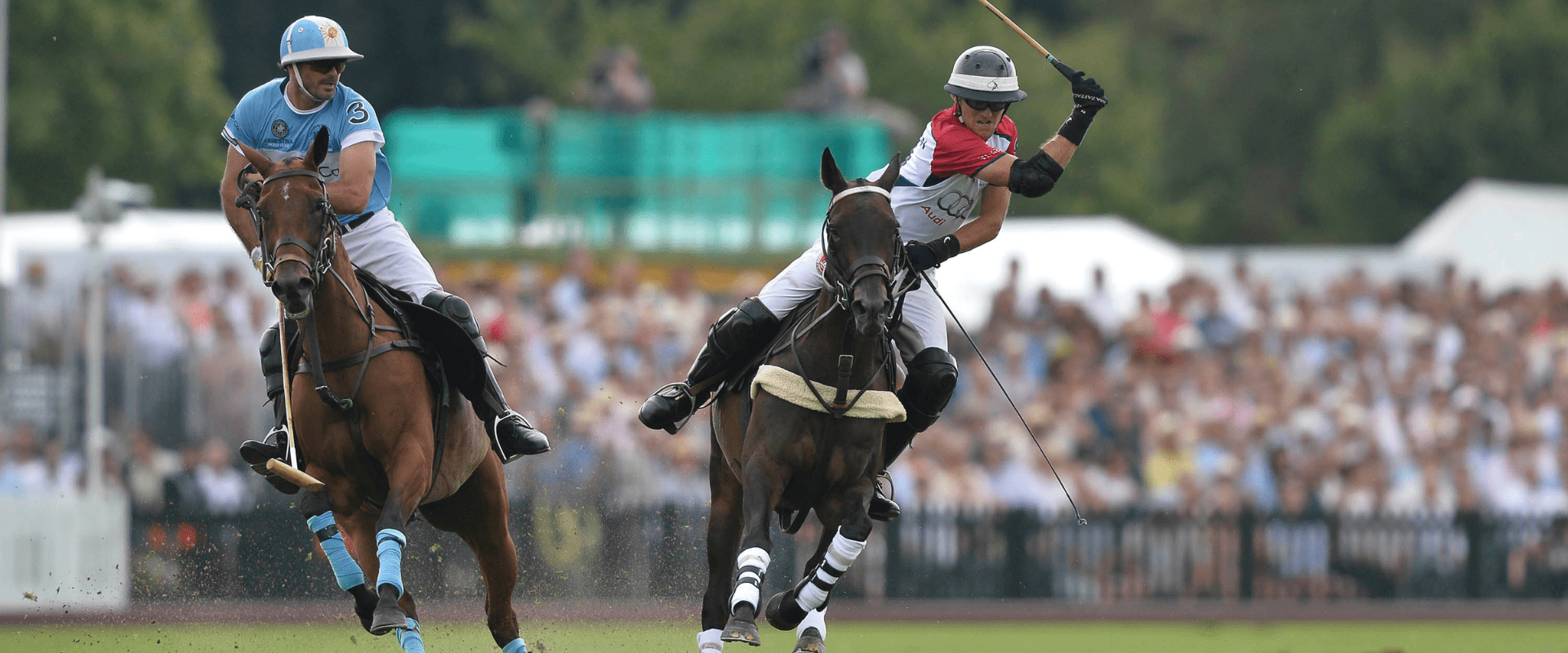 Polo Players