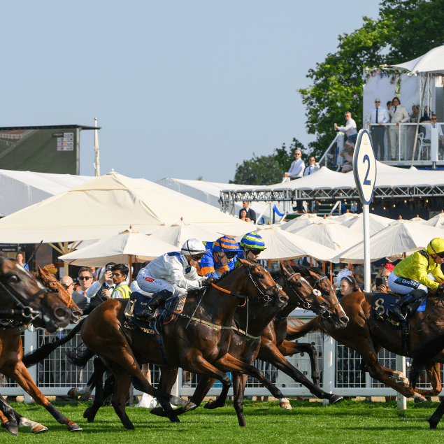 Horse racing