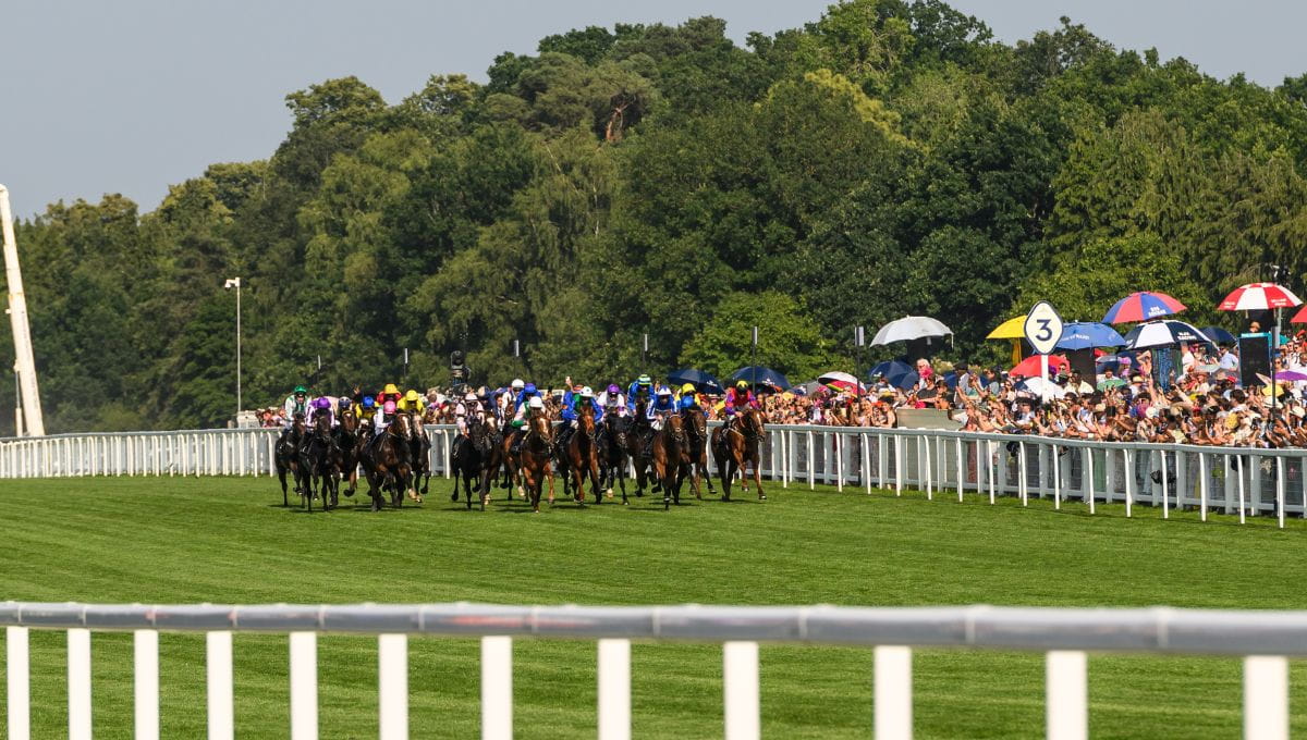Ascot Race