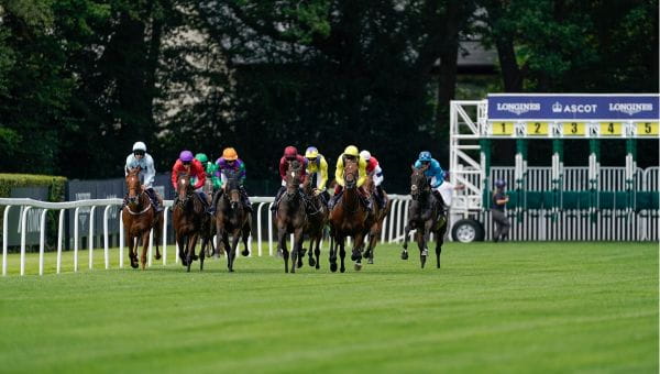 Ascot Racing
