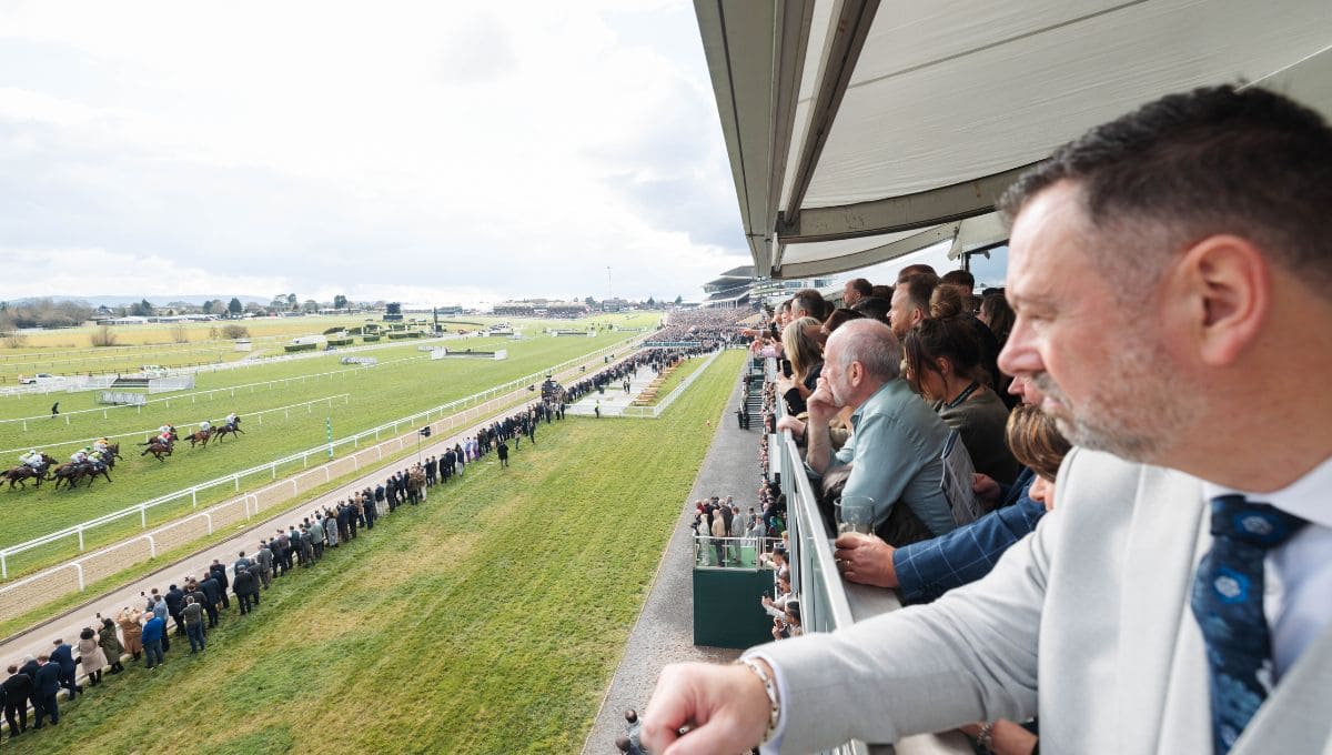 Platinum suites view