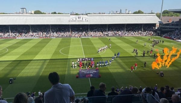 Craven Cottage pitch