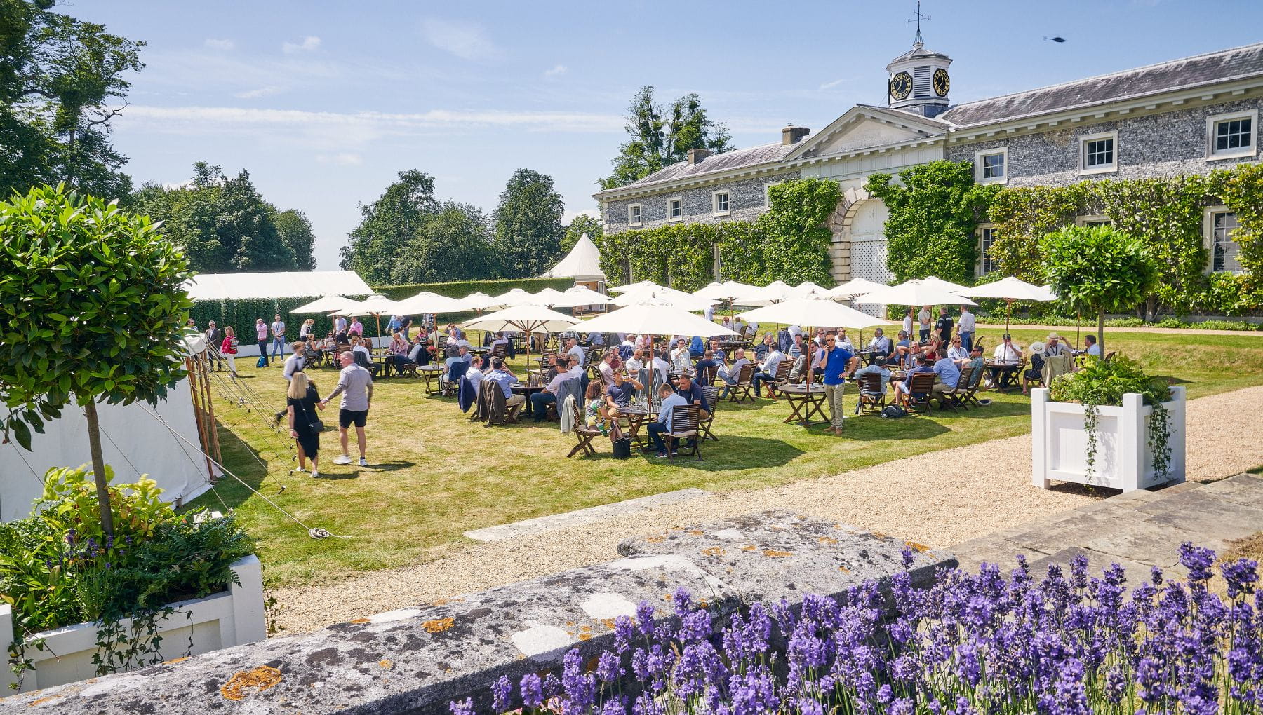 Library Lawn Outdoors
